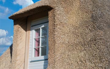 South Weirs thatch roof disadvantages